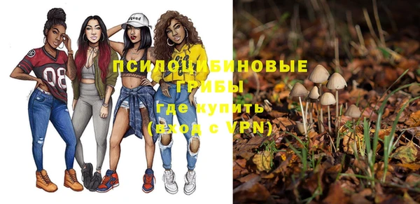 прущая мука Бородино