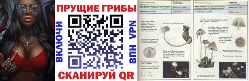 Псилоцибиновые грибы Psilocybine cubensis  hydra зеркало  Сочи 